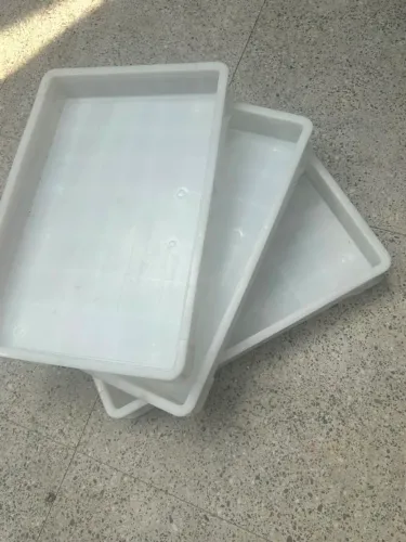Caixa de fermentação pizza