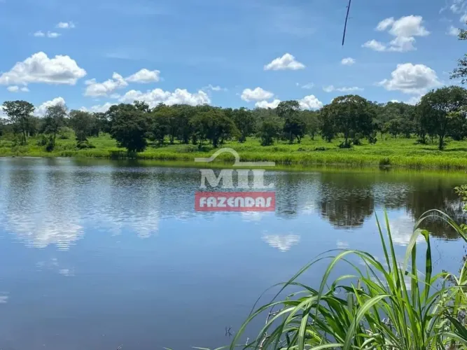 Fazenda 106 Alqueires (515 Hectares) Jau do Tocantins - TO