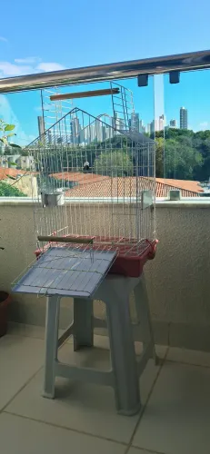 Gaiola para calopsita mansa