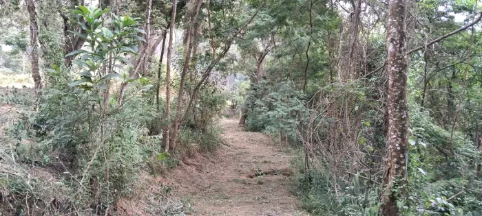 TERRENO NO BREJAL - PETRÓPOLIS-RJ ,VISTA PARA AS MONTANHAS Terrenos de 828 m² a 2.573,26