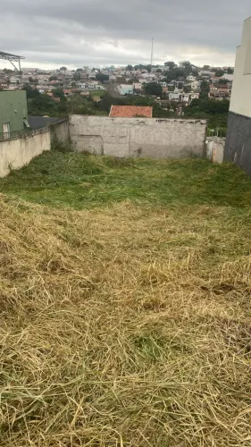 Columbia - Terreno