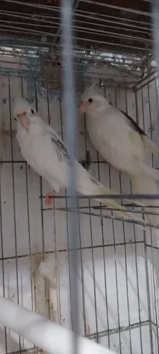 Lindos