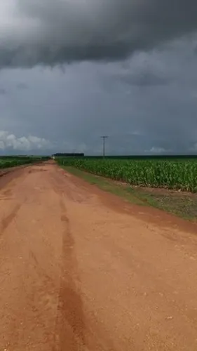 2.045 Alq Campos de Júlio -MT 