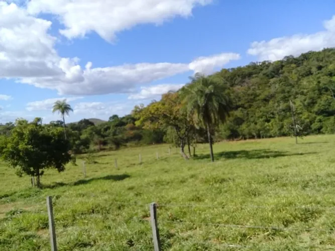 Fazenda de 343 Alqueires em Formosa Go