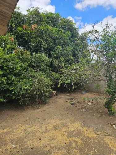 Vendo pequeno sítio em Santo Antônio de Jesus