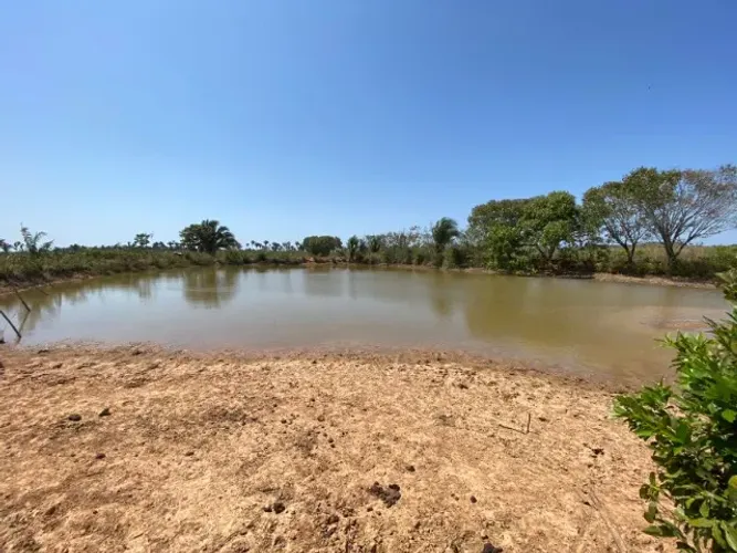 Fazenda em Codó do Maranhão