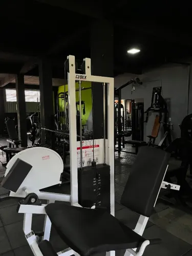 Cybex Classic extensora 