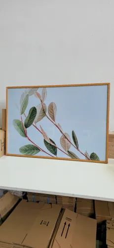 Quadro Decorativo Folhagem 97x67cm Moderno Fundo Branco com Moldura e Vidro para Sala