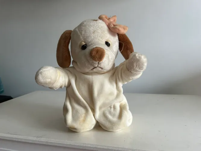 Cachorra que fala Pai Nosso