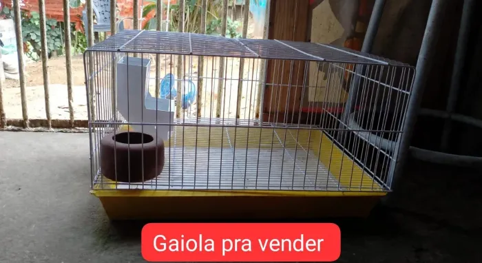 Gaiola para coelho, porquinho da índia e Twister