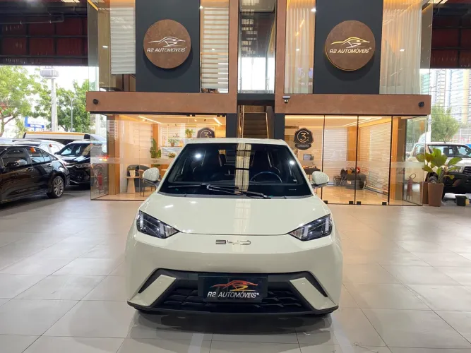 BYD Dolphin Mini (Elétrico) 2024