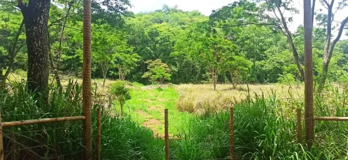 Lindas fazendinhas em Condomínio fechado Matozinhos - R$ 59.000,00 + Parcelas (FM72)