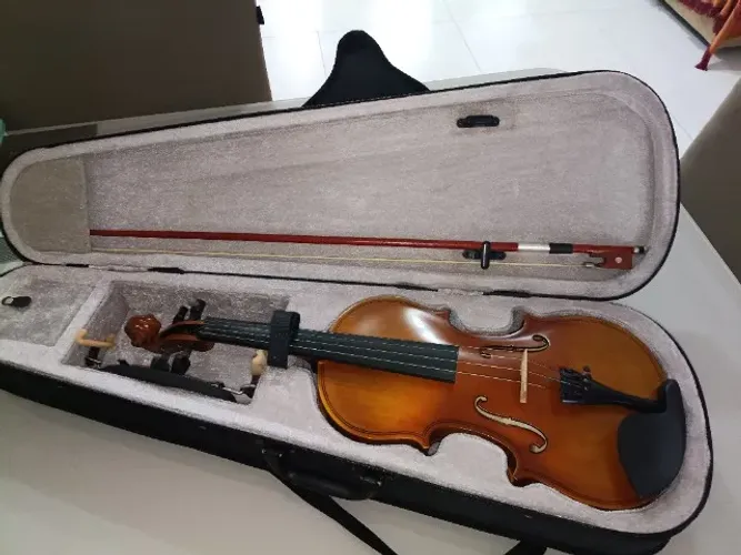 Violino VOGGA VON 144N 4/4