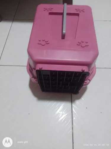 Casinha de transporte pet