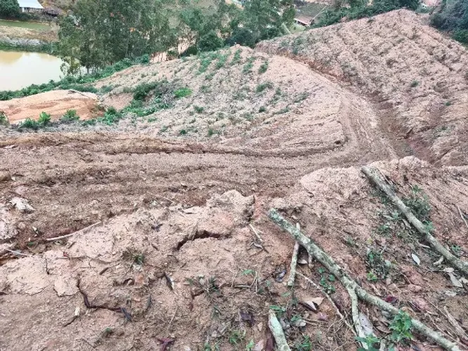 Terreno 8.000 m2