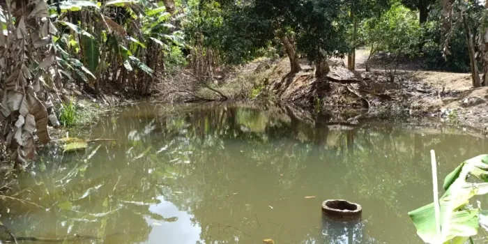 Sítio com muita água 40.500m² ha 14 Km de Santa Teresa 17 km de Sta Maria Jetibá ES