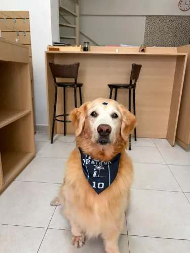 Passo Pet shop + consultório veterinário