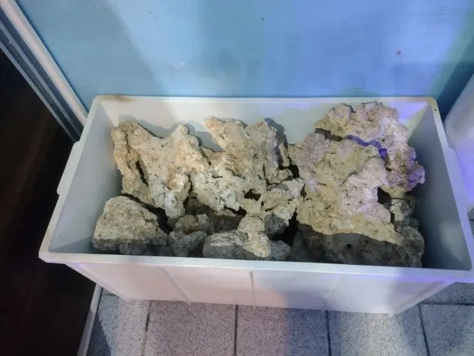 Rocha pra aquário marinho 