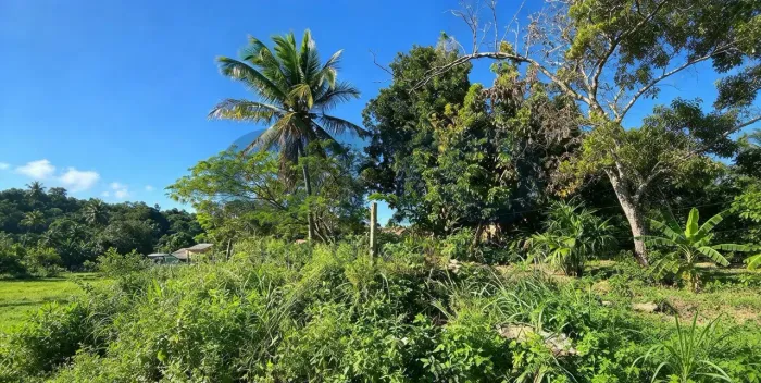 LOTES PLANOS À VENDA NO ALTO DO VILAS ARRAIAL DAJUDA | 152 M² CADA | 608 M² NO TOTAL