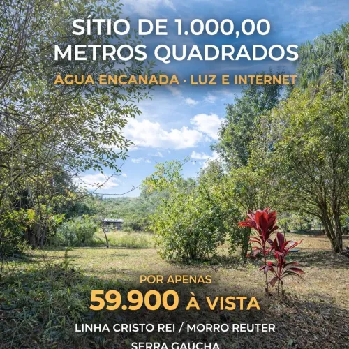 OPORTUNIDADE ÚNICA NA SERRA GAÚCHA SÍTIO DE 1.000m2