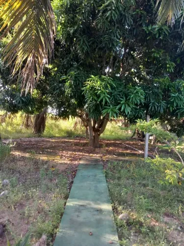 Sítio 70 por 100 5 minutos de parnamirim