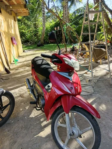 50 cc