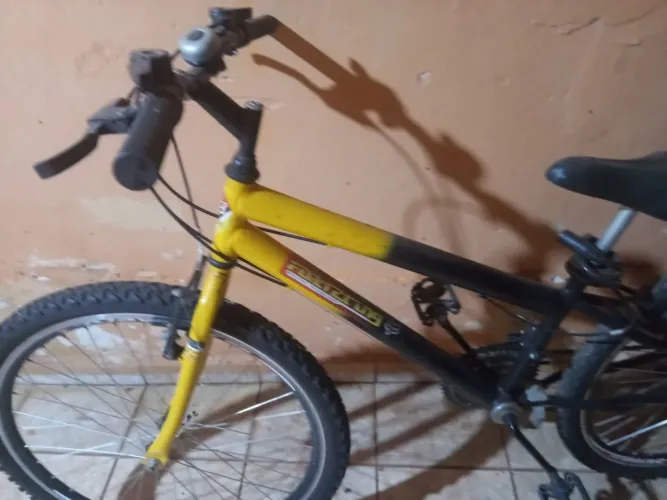 Bicicleta