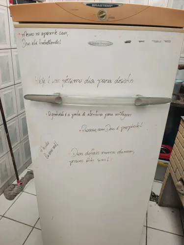 Geladeira com freezer interno. 310l