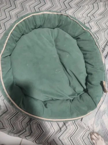 Vendo cama para cachorro porte pequeno ou filhote 