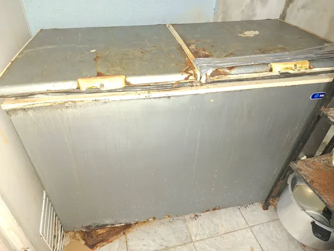Freezer Horizontal 