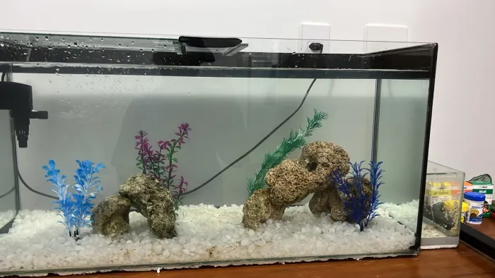 Aquário 96l completo (vem com filtro, areia, pedras e etc)