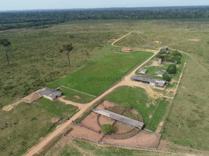 Vendo  fazenda flor da mata 8.191 hectares dupla aptidão
