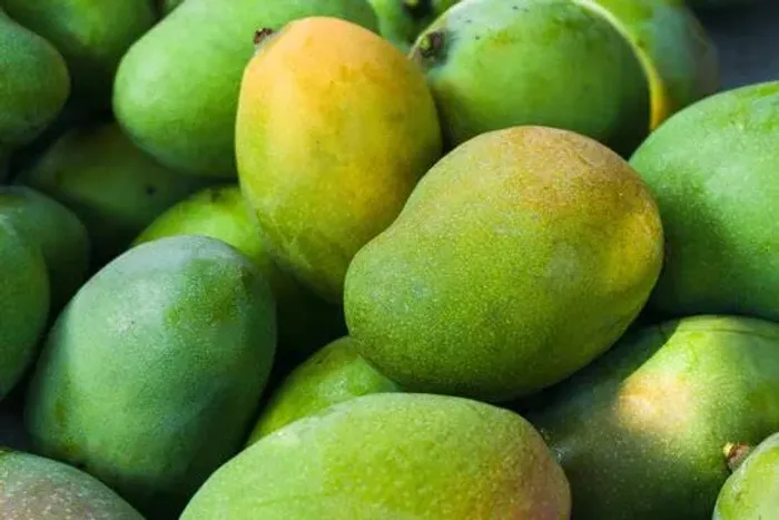 Manga-Espada Fresca com Ótimos Preços em Aracaju