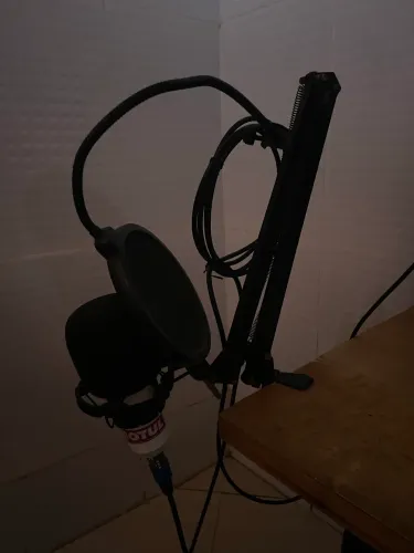 Braço articulado
