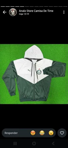 Blusa  de frio  de time  palmeiras 