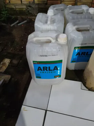 Carotes