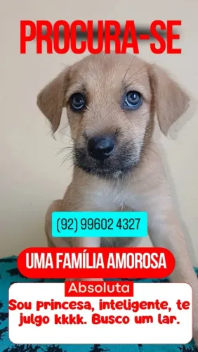 ADOÇÃO RESPONSÁVEL