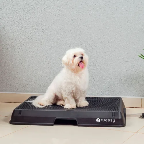 Banheiro Inteligente Para Cachorro - Weasy Cão - M / C/ Entrada de água / PRETO C/ CINZA