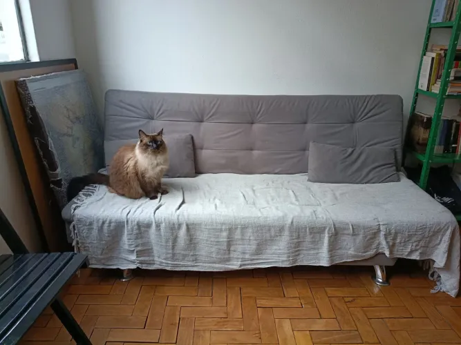 Sofá cama mobly