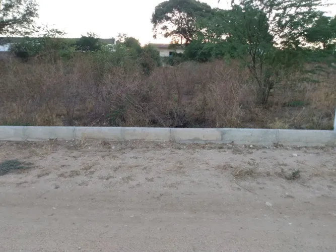 Lote 25 da quadra 05 na avenida 01 no loteamento vila da pedra em Delmiro Gouveia Al