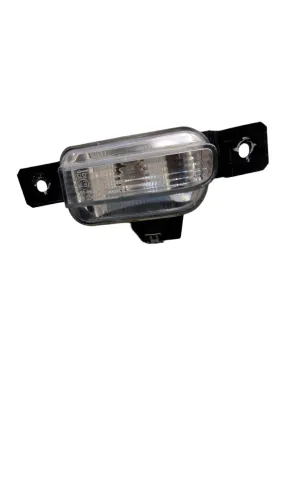 Luz De Placa L.d Vw Tiguan 2013