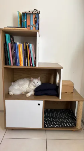 Estante GATOS