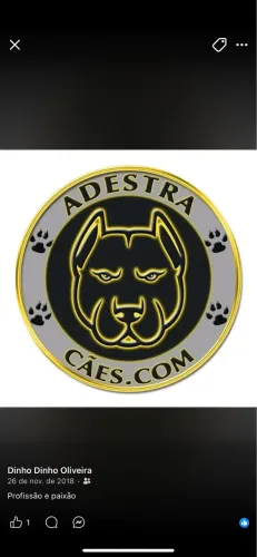 Adestramento de cães 