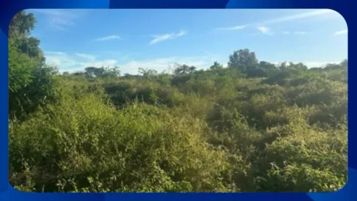 GLEBA DE TERRAS - Parte da Área nº 6, Fazenda Barra da Onça, Governador Valadares/MG - Gov