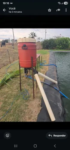 Tratador de peixe automático 