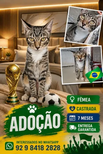 Adição, gato macho e fêmea. 6 meses castrados. Realizo entrega 