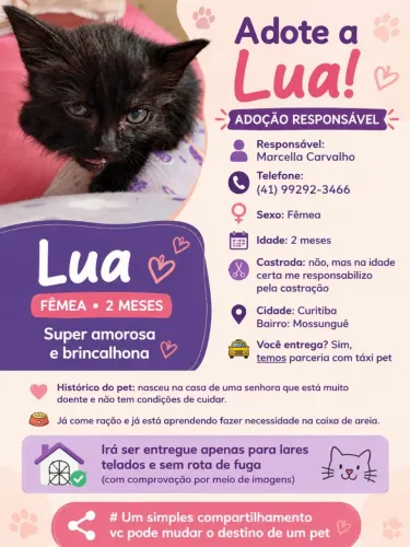 Doação responsável 