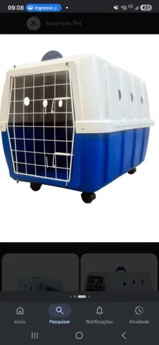 Casa de cachorro pra transporte 