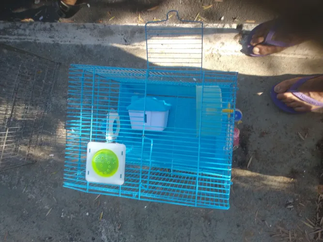 Casa para hamster de arame 