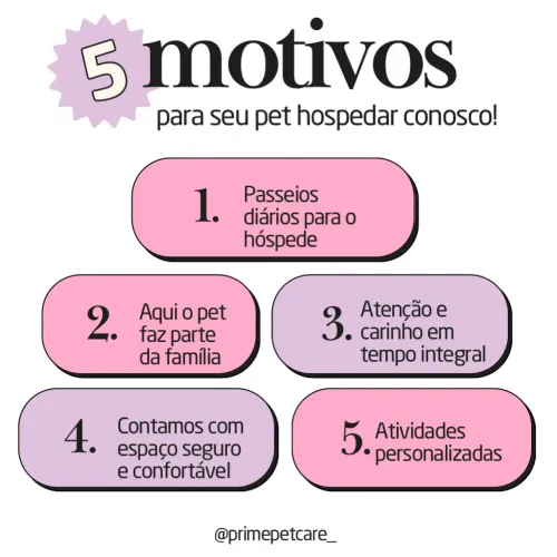 HOSPEDAGEM PET EM GOIÂNIA